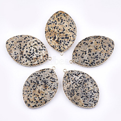 Natural Dalmatian Jasper Big Pendants, with Brass Findings, Faceted, Horse Eye, Golden, 55x36x8mm, Hole: 2mm(G-T112-06A)
