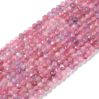 Natural Pink Tourmaline Beads Strands, Faceted, Round, 2.5~3mm, Hole: 0.5mm, about 159pcs/strand, 15.35''(39cm)