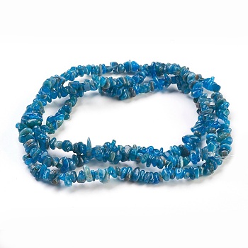 Natural Apatite Beads Strands, Chip, 4~18x3~10mm, Hole: 0.5mm, 31.5 inch(80cm)
