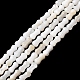 Natural Freshwater Shell Beads Strands(SHEL-A006-04A)-1