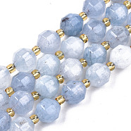 Natural Dolomite Beads Strands, Faceted, Dyed, Round, Light Sky Blue, 8x8mm, Hole: 1.2mm, about 33pcs/strand, 15.16 inch~15.35 inch(38.5cm~39cm)(G-T131-85A-14)