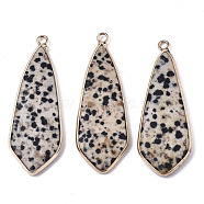 Natural Dalmatian Jasper Pendants, with Light Gold Plated Brass Edge and Loop, Teardrop, 49x18x4.5mm, Hole: 2.5mm(G-S359-108C)
