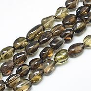 Natural Smoky Quartz Beads Strands, Tumbled Stone, Nuggets, 13~18x8~13x8~13mm, Hole: 1.5mm, about 30pcs/strand, 15.7 inch(G-R439-30A)