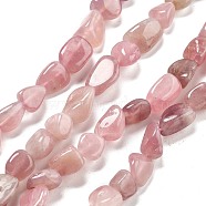 Natural Rose Quartz Beads Strands, Nuggets, 8~15x5.5~12x4.5~10.5mm, Hole: 1~1.2mm, about 40~42pcs/strand, 15.94''~16.34''(40.5~41.5cm)(G-C179-F01-01)