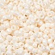 TOHO 6/0 Round Beads(X-SEED-TR06-0123L)-3