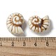 Handmade Porcelain Beads(PORC-L080-F04)-3