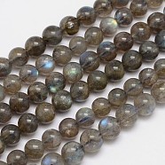 Natural Labradorite Round Bead Strands, Grade A, 8mm, Hole: 1mm, about 50pcs/strand, 15.5 inch(G-M262-8mm-09)