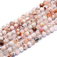 Natural Cherry Blossom Agate Beads Strands, Round, 6~6.5mm, Hole: 0.8mm, about 60pcs/Strand, 14.96 inch(38cm)(G-K310-C07-6mm)