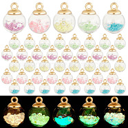 Elite 50Pcs 5 Colors Glow in the Dark Luminous Glass Globe Pendants, with Golden Plated Plastic Pendant Bails, Round, Mixed Color, 21.5x16mm, Hole: 3mm, 10Pcs/color(GLAA-PH0002-76)