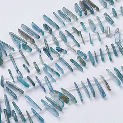 Natural Kyanite/Cyanite/Disthene Beads Strands, 9~35x4~6x2mm, Hole: 1mm, about 30~44pcs/strand, 15.7 inch(G-H1483-12)
