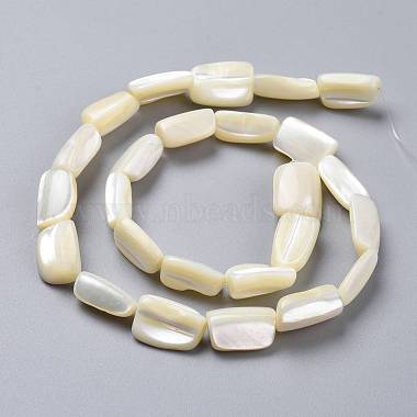 Natural Shell Beads Strands(SSHEL-K026-01)-2