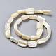 Natural Shell Beads Strands(SSHEL-K026-01)-2