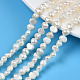 Natural Cultured Freshwater Pearl Beads Strands(PEAR-N014-04A)-1
