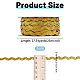 2 Rolls Polyester Ribbon(OCOR-GL0001-31A)-2