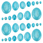 84Pcs 7 Styles Synthetic Turquoise Cabochons, Dyed, Oval, Sky Blue, 8~40x6~30x3~8mm, 12pcs/style(TURQ-PH0001-12)