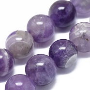 Natural Amethyst Beads Strands, Round, 11.5~12.5mm, Hole: 1mm, about 15pcs/strand, 6.8 inch(17.5cm)(G-G791-11-B04)