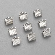 Iron Ribbon Crimp Ends, Silver Color Plated, 6x7mm, hole: 2mm(IFIN-ZX025-S)