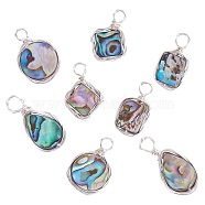8Pcs 4 Styles Natural Abalone Shell/Paua Shell Pendants, Eco-Friendly Copper Wire Wrapped Shell Charm, Rectangle & Rhombus & Teardrop & Flat Round, Platinum, 18.4~19.7x10.5~15x3.5~4mm, Hole: 2.2~2.4mm, 2pcs/style (FIND-SZ0003-08)