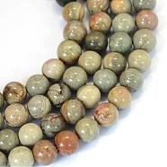 Natural Silver Leaf Jasper Round Bead Strands, 6~6.5mm, Hole: 1mm, about 63pcs/strand, 15.5 inch(G-E334-6mm-04)