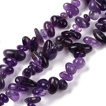 Natural Amethyst Chip Beads Strands, Tumbled Stone, 8x6mm