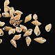Natural Spiral Shell Beads(SSHEL-R036-15)-1