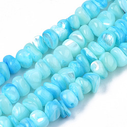 Natural Sea Shell Beads Strands, Dyed, Chips, Cyan, 6~18.5x5~10x2.5~7mm, Hole: 0.5~0.7mm, about 97~105pcs/strand, 15.55 inch~15.98 inch(39.5cm~40.6cm)(SSHEL-S278-131D)