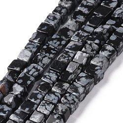Natural Snowflake Obsidian Beads Strands, Cube, 3.5~4x3.5~4x3.5~4mm, Hole: 1.2mm, about 95pcs/strand, 15.04''(38.2cm)(G-F631-K16)