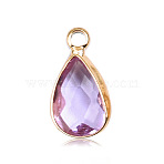 Faceted Brass Glass Charms, Birthstone Charms, Teardrop, Plum, 13.5x7.5x4mm, Hole: 1.6mm(FIND-WH0097-40F-G)