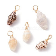 Natural Shell Pendants, with Copper Findings, Real 18K Gold Plated, 18~23x7~10x6~7.5mm, Hole: 3.7mm(PALLOY-JF01164-02)