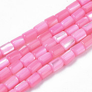 Natural Trochid Shell/Trochus Shell Beads Strands, Dyed, Column, Pearl Pink, 4~5x3~3.5mm, Hole: 0.9mm, about 77~78pcs/strand, 15.55 inch~15.75 inch(39.5~40cm)(SHEL-N003-26-B04)