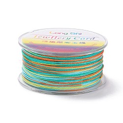 Segment Dyed Polyester Thread, Braided Cord, Colorful, 0.8mm, about 54.68 yards(50m)/roll(NWIR-I013-D-20)