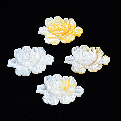 Natural Yellow Shell Link Connectors, Flower, 22~23x32~33x4mm, Hole: 0.9mm(SSHEL-S258-103B)