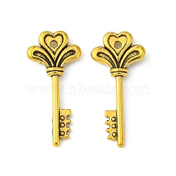 Tibetan Style Alloy Pendants, Lead Free and Cadmium Free, Antique Golden, Skeleton Key, 29x14x3mm, hole: 2mm(TIBEP-12928-AG-LF)