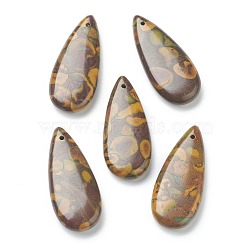 Natural Fossil Pendants, Teardrop, 35x15x6.5mm, Hole: 0.5mm(G-B013-01)