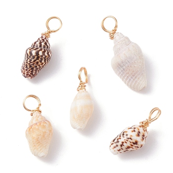 Natural Shell Pendants, with Copper Findings, Real 18K Gold Plated, 18~23x7~10x6~7.5mm, Hole: 3.7mm