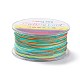 Segment Dyed Polyester Thread(NWIR-I013-D-20)-1