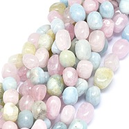 Natural Morganite Beads Strands, Oval, 11~14x8.5~11mm, Hole: 1.2mm, about 29~33pcs/strand, 15.3 inch(G-O173-090)