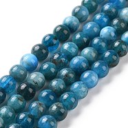 Natural Apatite Beads Strands, Round, 5.5mm, Hole: 1mm, about 74pcs/strand, 16.1 inch(41cm)(G-J373-21-5.5mm)