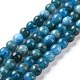 Natural Apatite Beads Strands(G-J373-21-5.5mm)-1