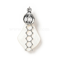 Natural White Shell Pendants, Teardrop Charm, with Stainless Steel Color Plated 304 Stainless Steel Ladybug Findings and Jump Ring, 35~40x18~20x8~10mm, Jump Ring: 4x0.7mm, Inner Daimeter: 2.6mm(SSHEL-C010-05P)