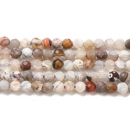 Natural Mexican Lace Agate Bead Strands, Round, Faceted, 3mm, Hole: 0.6mm, about 140pcs/strand, 15.55''(39.5cm)(G-E608-A11-B)
