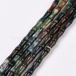 Natural Indian Agate Beads Strands, Bamboo Stick, 12.5x5.5mm, Hole: 1mm, about 31pcs/strand, 15.75 inch(40cm)(G-G990-D03)