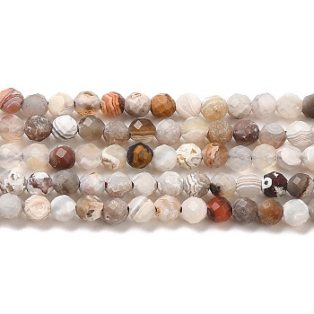 Natural Mexican Agate Bead Strands, Round, Faceted, 3mm, Hole: 0.6mm, about 140pcs/strand, 15.55''(39.5cm)