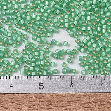 MIYUKI Delica Beads(X-SEED-J020-DB2188)-4