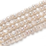Natural Cultured Freshwater Pearl Beads Strands, Potato, Bisque, 5~6x6~7mm, Hole: 0.8mm, about 55~60pcs/strand, 13.39 inch(34cm)(PEAR-L033-44)