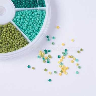Spring Theme 12/0 Grade A Round Glass Seed Beads(SEED-JP0007-06)-2