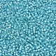 MIYUKI Delica Beads(SEED-X0054-DB1708)-3