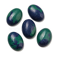 Synthetic Chrysocolla Cabochons, Oval, 18x13x5~5.5mm(G-C115-01A-04)