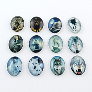 Wolf Pattern Glass Oval Flatback Cabochons for DIY Projects, Mixed Color, 25x18x5mm(X-GGLA-R022-25x18-51)