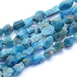 Raw Rough Natural Apatite Beads Strands, Nuggets, 6~12x6~10x5~8mm, Hole: 0.7mm, about 48pcs/strand, 15.75 inch(40cm)(G-I279-B09)